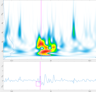 Wirelet signature of a lubricant bleeding
