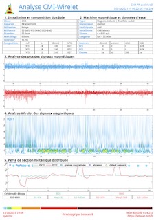Distribution de l'endommagement et cumul de perte de section métallique