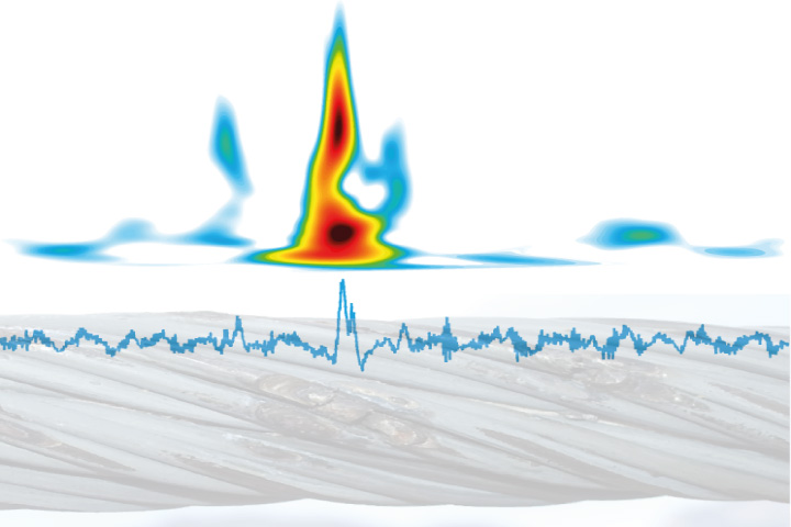 A dive into magnetic signals with Wirelets 
